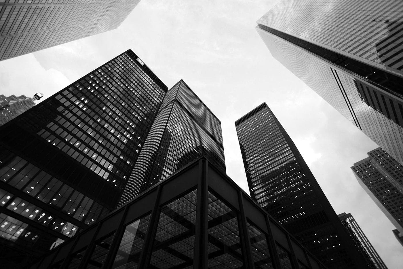 Empresas en Crecimiento